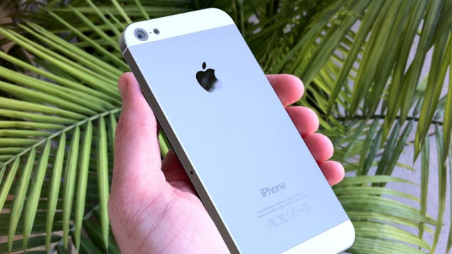 This Is How the iPhone 5 Might Look in Your Hand