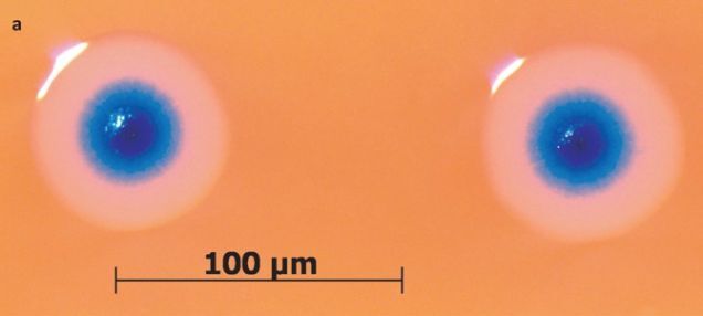 Scientists create "artificial life" - synthetic DNA that can self-replicate