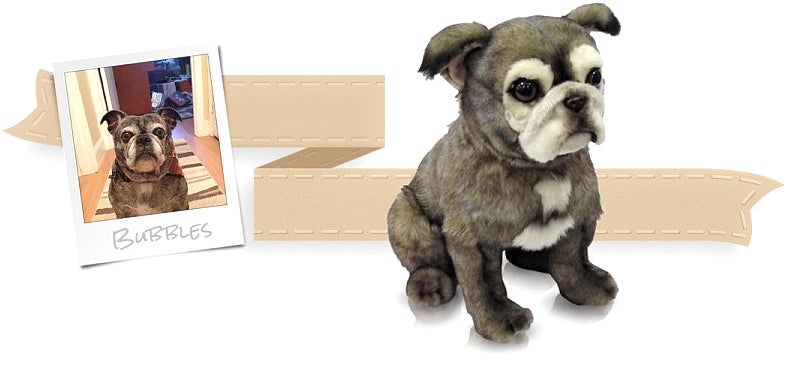 clone your pet stuffed animal