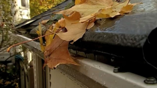 Prevent Leaves from Clogging Your Gutters With These Quick Fixes