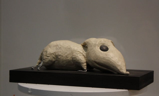 Tim Burton shows his childhood scars in Frankenweenie