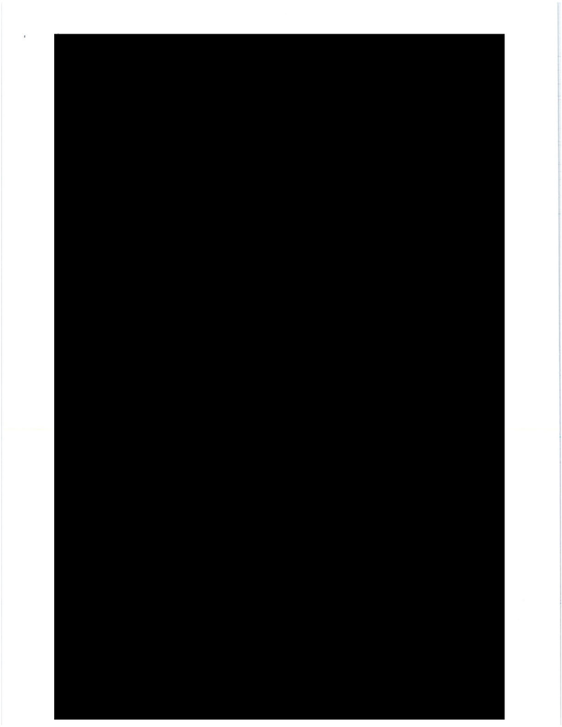 What Do You Think Is in These 73 Straight Pages of Fully Redacted Emails?