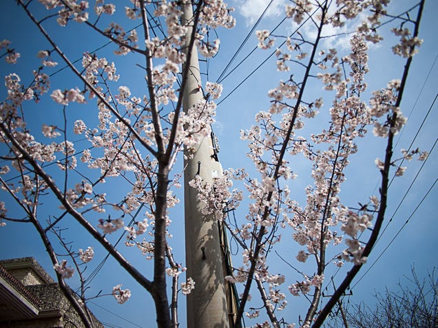 Shooting Challenge: Spring Gallery 1