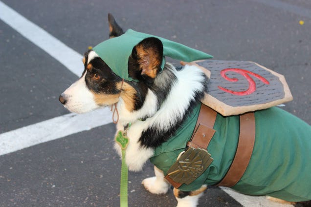 Had A Rough Day? Here's A Cosplaying Corgi