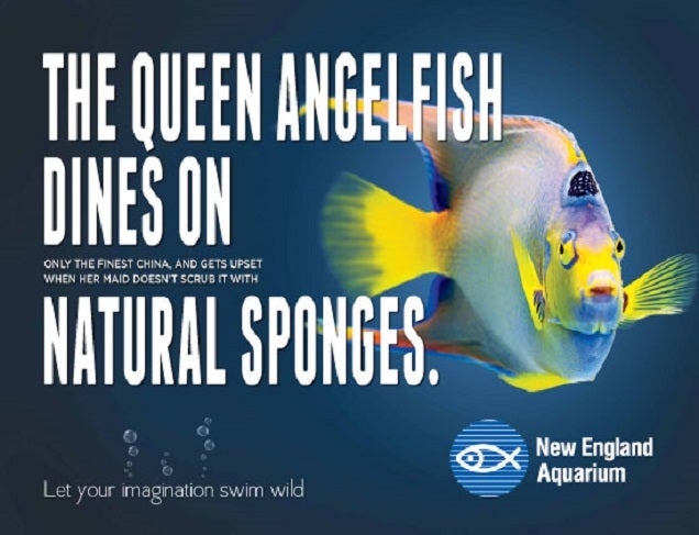 The New England Aquarium Has Some Great Advertising