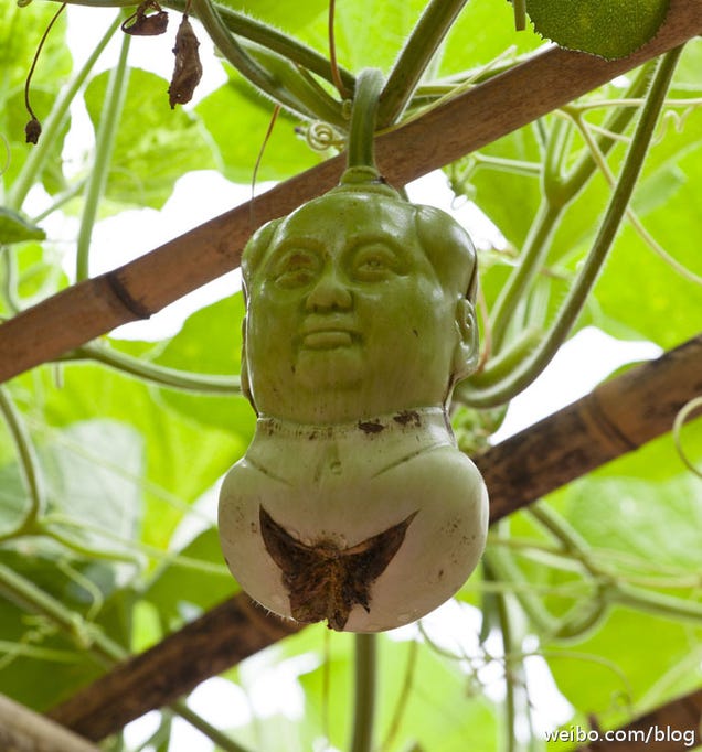 Chairman Mao-Shaped Fruit Are Being Grown in China