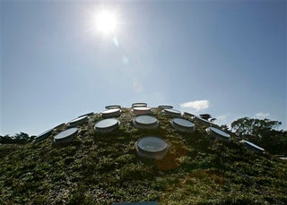 California Academy of Sciences Reopens in an Orgy of Ecotechture