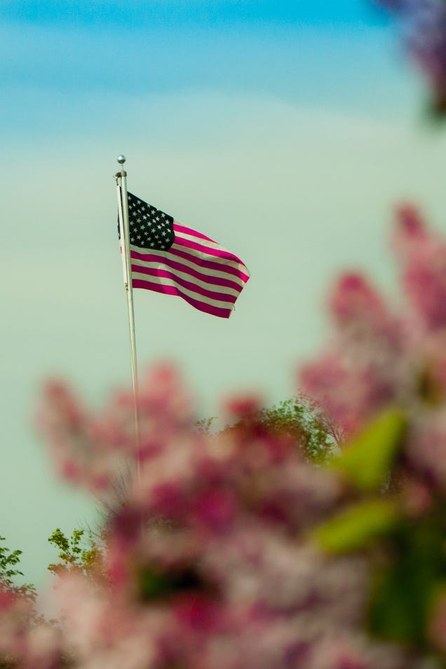 13 Photos Of Memorial Day