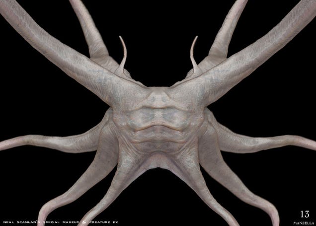 Prometheus concept art puts us face-to-sucker with the movie's creatures