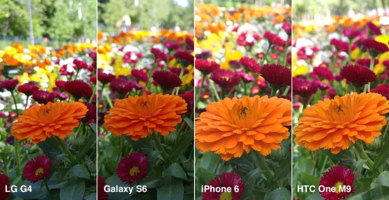 Duelo fotográfico: cuatro de los mejores smartphones, frente a frente