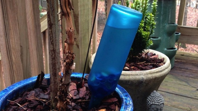 Turn a Wine Bottle into an Automatic Plant Waterer