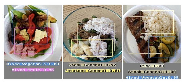 A Calorie Tracking Image Recognition App Keeps Portions Under Control