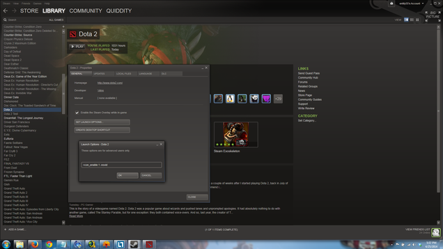 dota 2 launch options