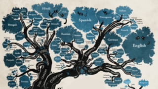 El origen de los idiomas, explicado en una preciosa infografía