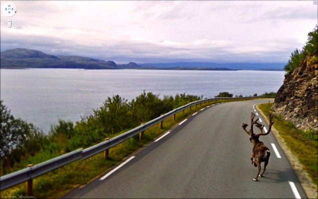 The Funniest Pictures Found on Google Street View
