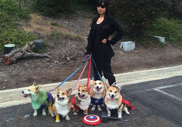 The World's Best Avengers Cosplay Only Includes One Human