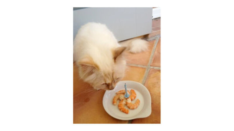 Carine Roitfeld Is Anti-Anorexia, Pro-Peeing Behind Cars