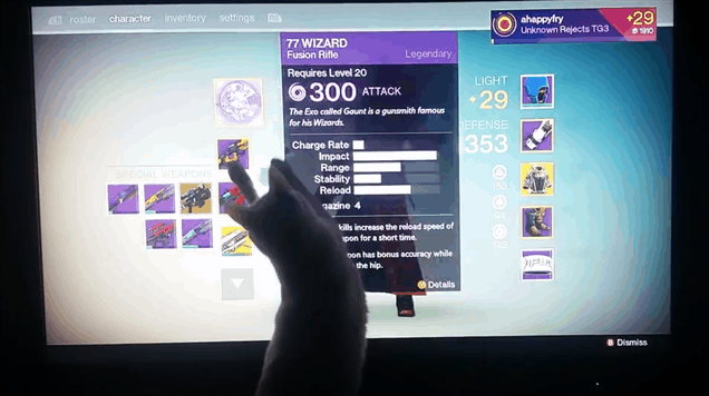 Cat Doesn't Know Why It Keeps Playing Destiny Either