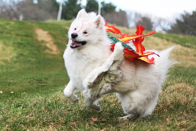 Kickstart Your Week With Some Terrific Cosplay