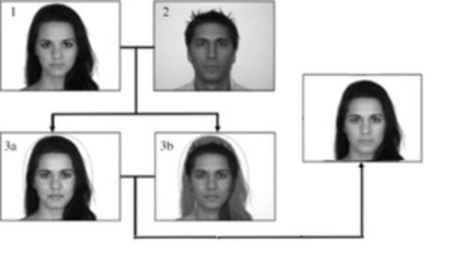 io9 Roundup: September 4, 2011