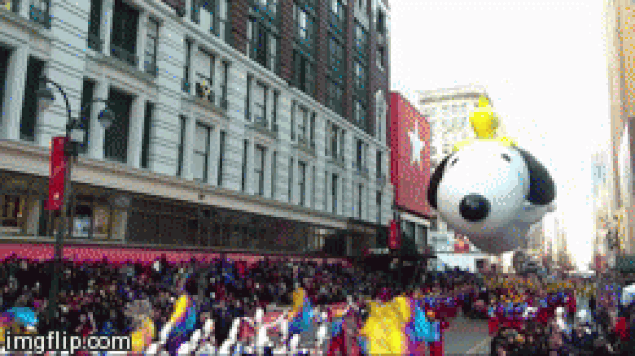 Your Thanksgiving Parade .Gifs [Updates]