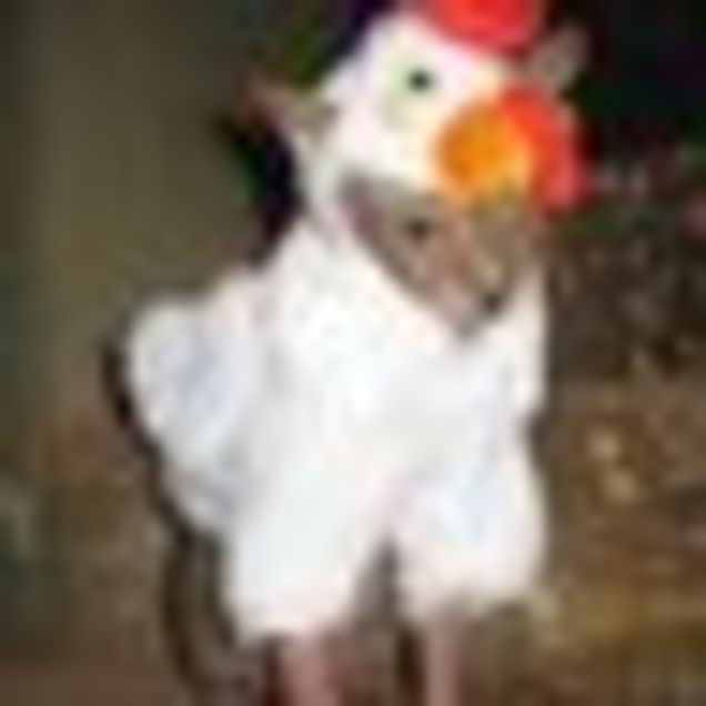 Celebs Mourn The Loss Of Harvey Pekar