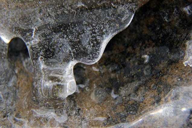 14 Frozen Photos Of The Polar Vortex