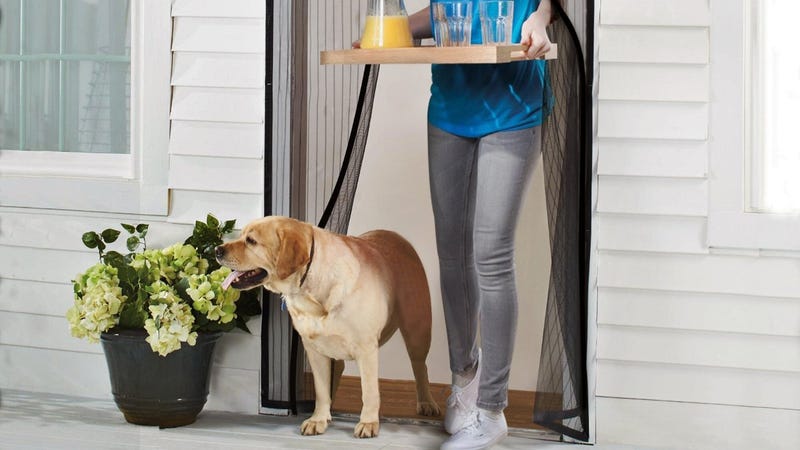 Sunday's Best Deals: Your Favorite Vacuum, String Lights, Away Luggage