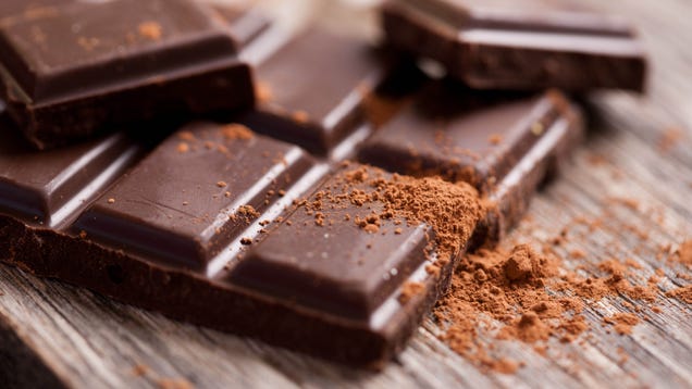 Cambridge University Is Currently Hiring a 'Doctor of Chocolate'