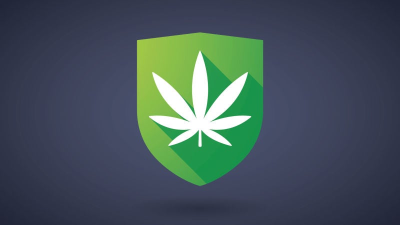 Everything You Need to Know About Medical Marijuana
