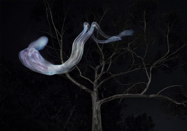 The dissected body of a murderer becomes a terrifying ghost haunting the city streets