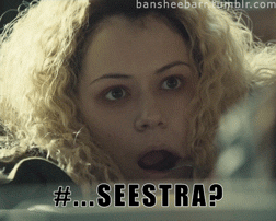 ezhjdkg0pxuqo4hxnq5q.gif