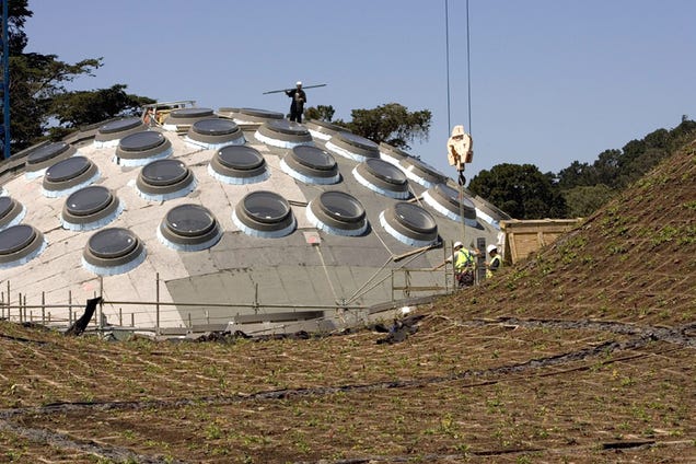 California Academy of Sciences Reopens in an Orgy of Ecotechture