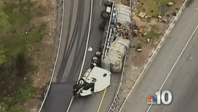 20 Million Bees Swarm Delaware Highway After Tractor-Trailer Crash