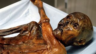Anthropologists Have Mapped All 61 Tattoos On Ötzi The Iceman