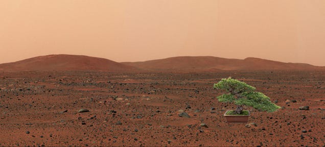 NASA Wants to Send Plant Life to Mars in 2020