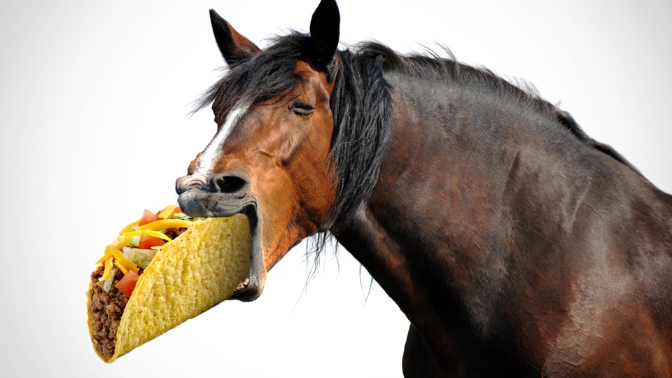 ¿Taco Bell usa carne de caballo?? startupassembly.co