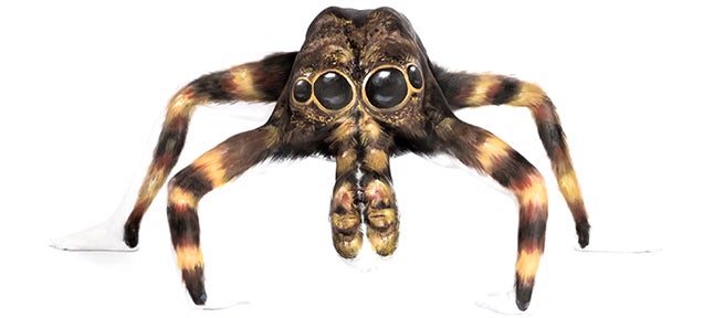 Contortionists transform into freaky animals using body paint