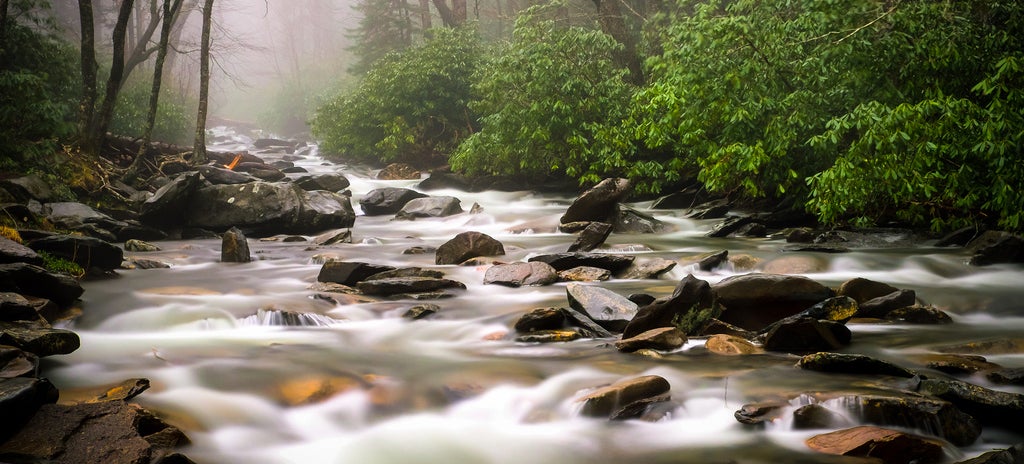 ​How To Find And Purify Drinking Water In The Wilderness