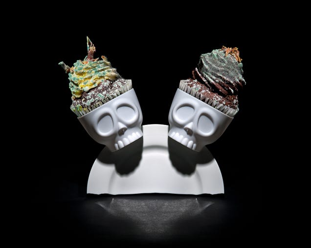 Still-life photos of rotting food are strangely beautiful