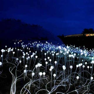 Fiber Optic Sculpture Transforms Field into a Luminous Alien Landscape