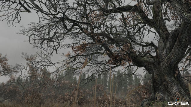 Cancelled Crytek Game Looked More Alan Wake Than Crysis