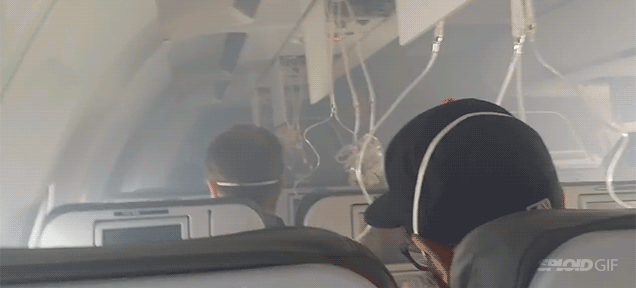 A flight emergency landing can't be more chilled out than this video