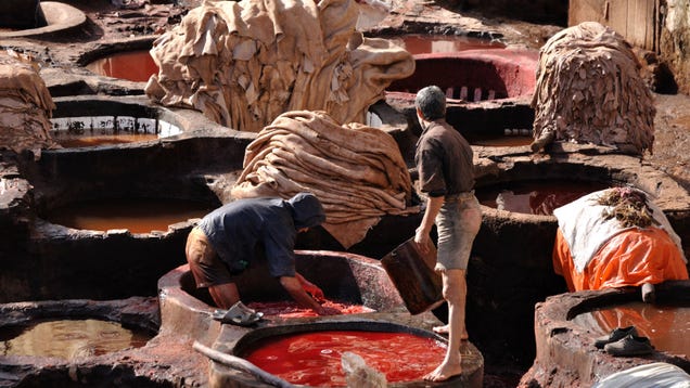 How Leather Is Slowly Killing the People and Places That Make It