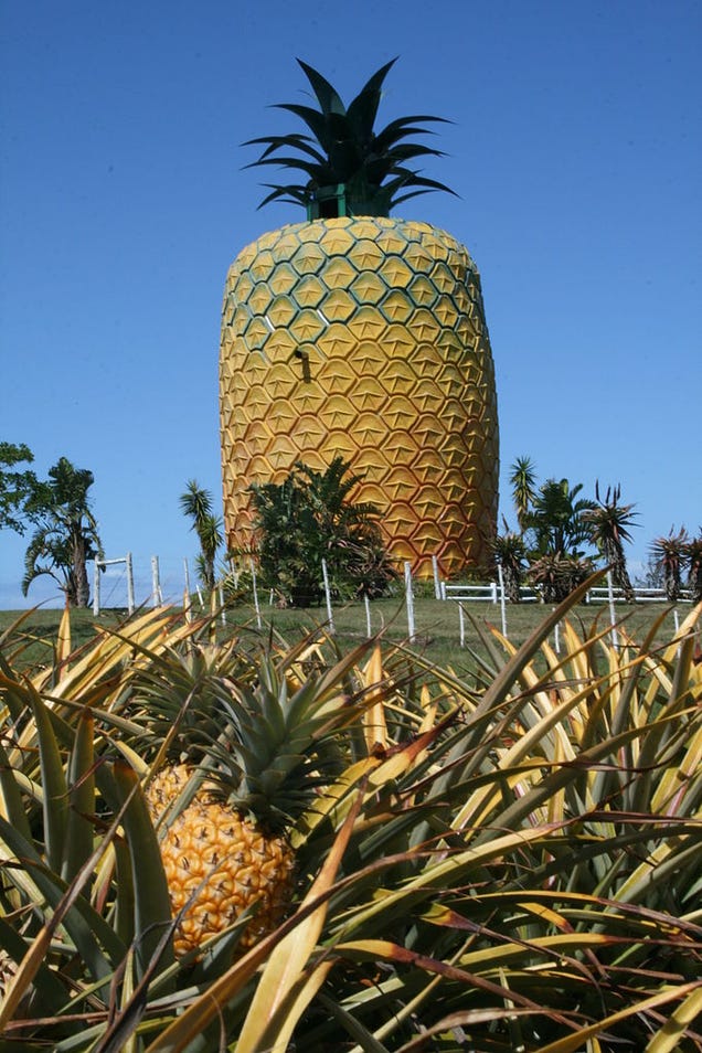 These Buildings Could Be The Food And Drink Of Giants