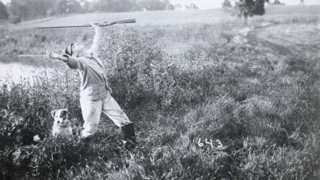Freakish, Century-Old "Tall Tale Postcards" Were the 'Shops of Their Day