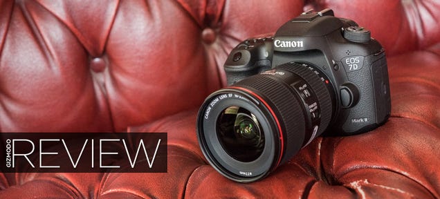 Canon 7D Mark II: The Best DSLR For Sports and Wildlife, But That's All