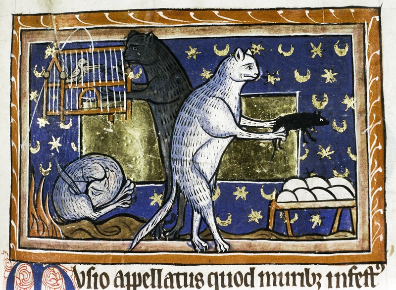 cats as marginalia in medieval manuscripts