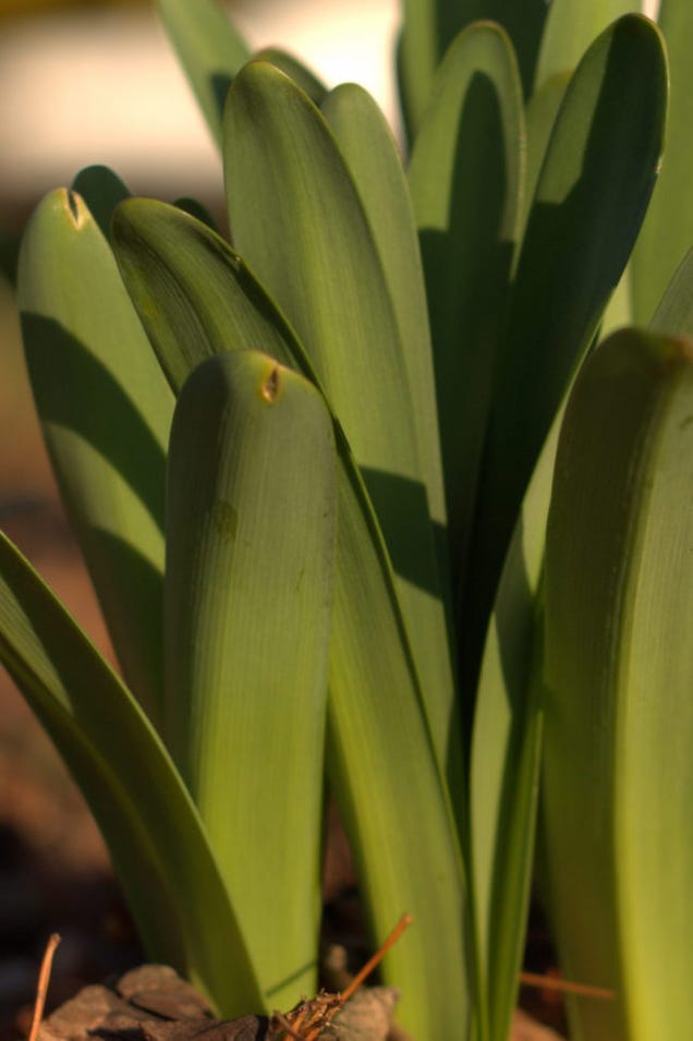 27 Serendipitous Shots Of Spring
