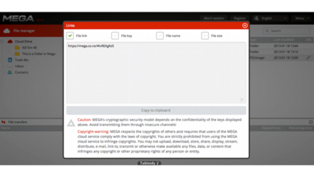 Mega's Clever Encryption Will Protect You, But Mostly Kim Dotcom